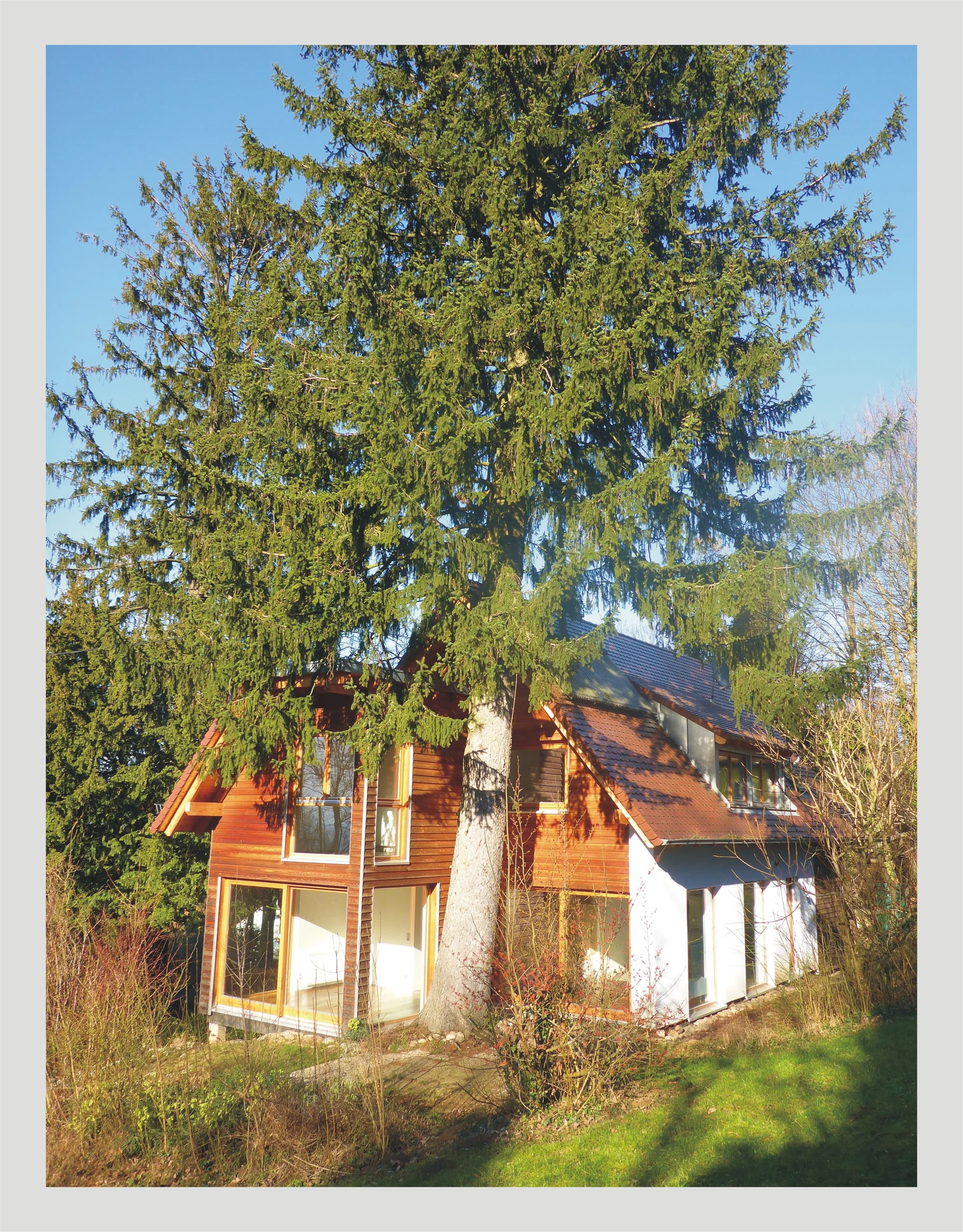 KA-Durlach / direkt am Turmberg / nachhaltig und ökologisch saniertes Einfamilienhaus in naturnaher Hanglage mit großzügigem Grundstück & hochwertiger Einbauküche / sofort bezugsfrei