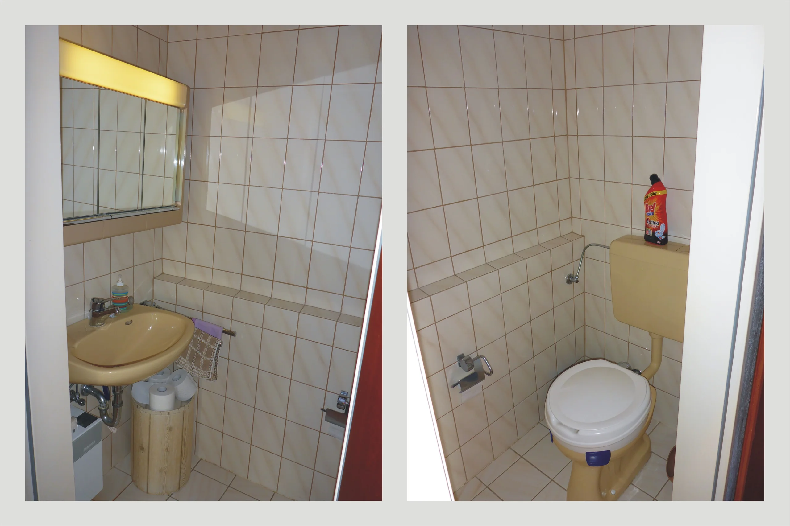 helle & gut geschnittene 3-Zi-Wohnung mit Süd-West-Loggia, Weitblick und Garage / sofort bezugsfrei