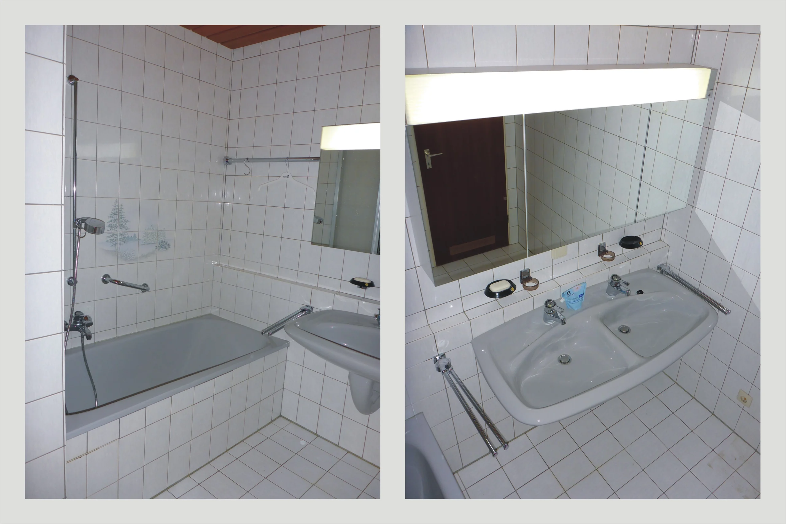 helle & gut geschnittene 3-Zi-Wohnung mit Süd-West-Loggia, Weitblick und Garage / sofort bezugsfrei