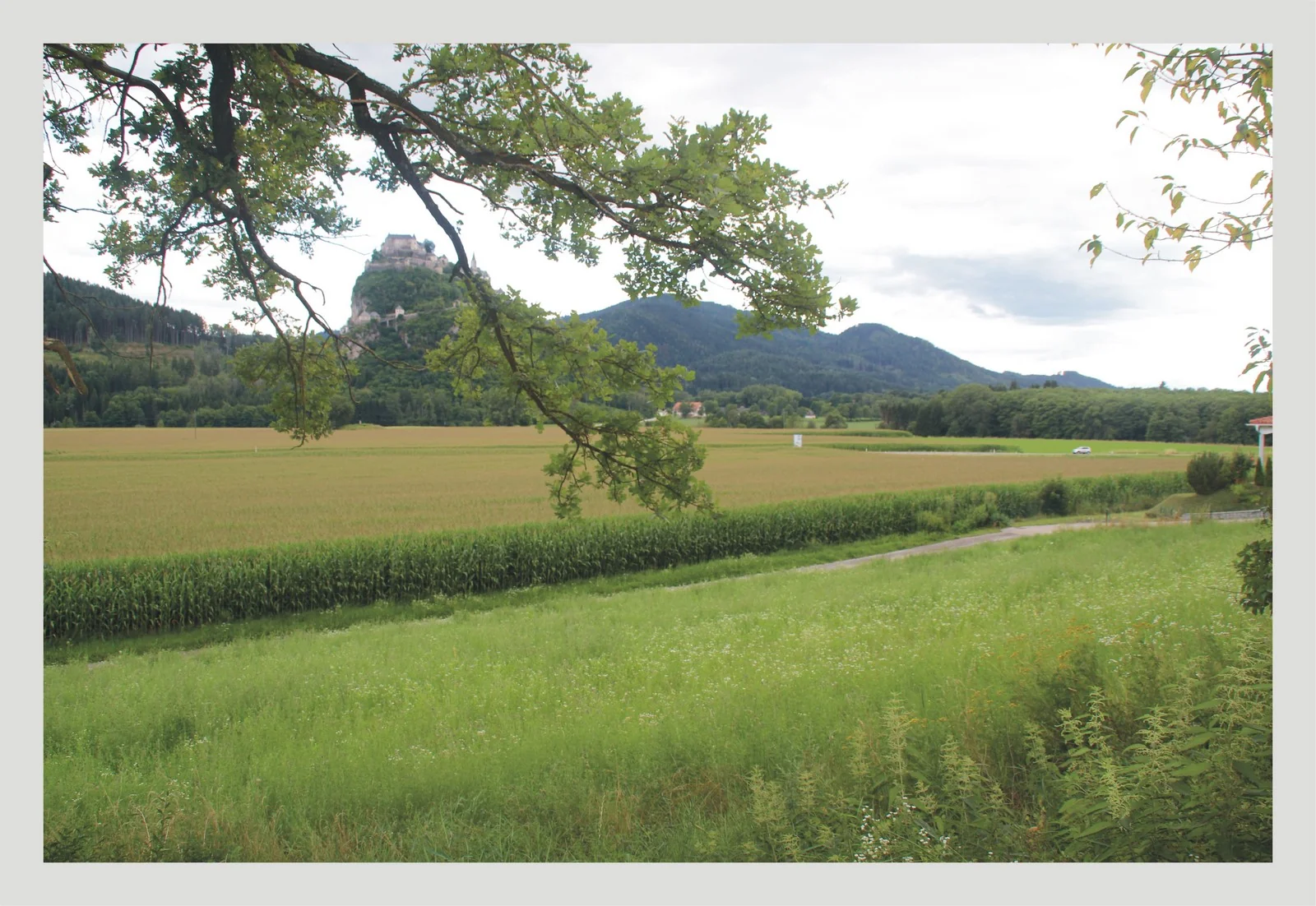 Launsdorf-Kärnten / einmaliges Baugrundstück in sonniger Ortsrandhanglage mit unverbaubarem Blick auf die Burg Hochosterwitz