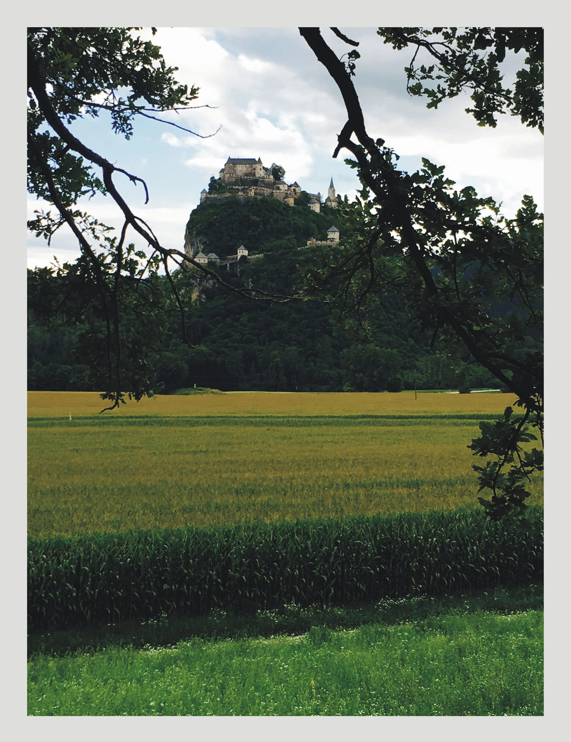 Launsdorf-Kärnten / einmaliges Baugrundstück in sonniger Ortsrandhanglage mit unverbaubarem Blick auf die Burg Hochosterwitz