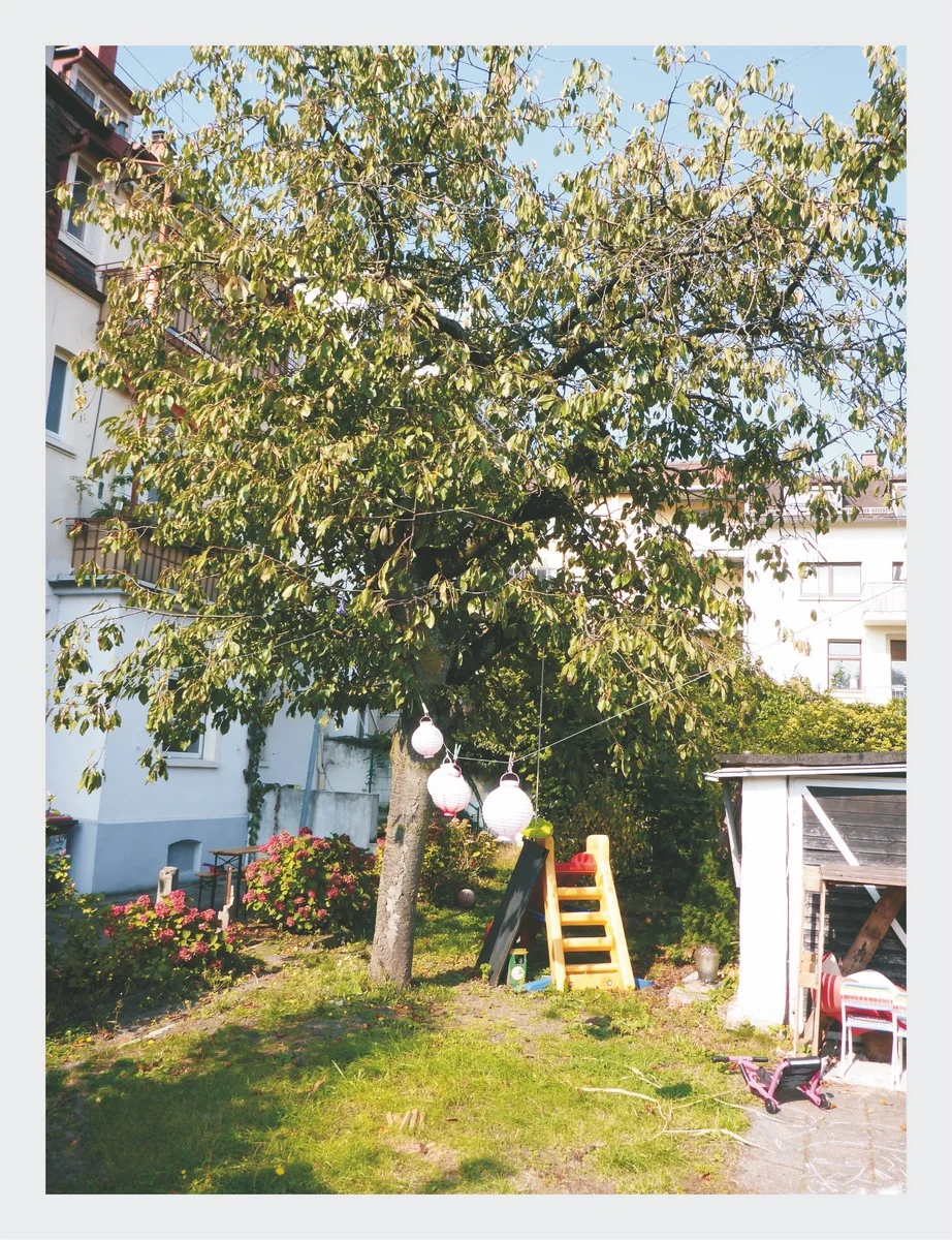 Karlsruhe-Grünwinkel / stilvolles Mehrfamilienhaus mit 6 Wohnungen, 3 davon bezugsfrei - mit Balkonen, Terrasse und schönem Garten - Zusätzliche Ausbaureserve im Speicher
