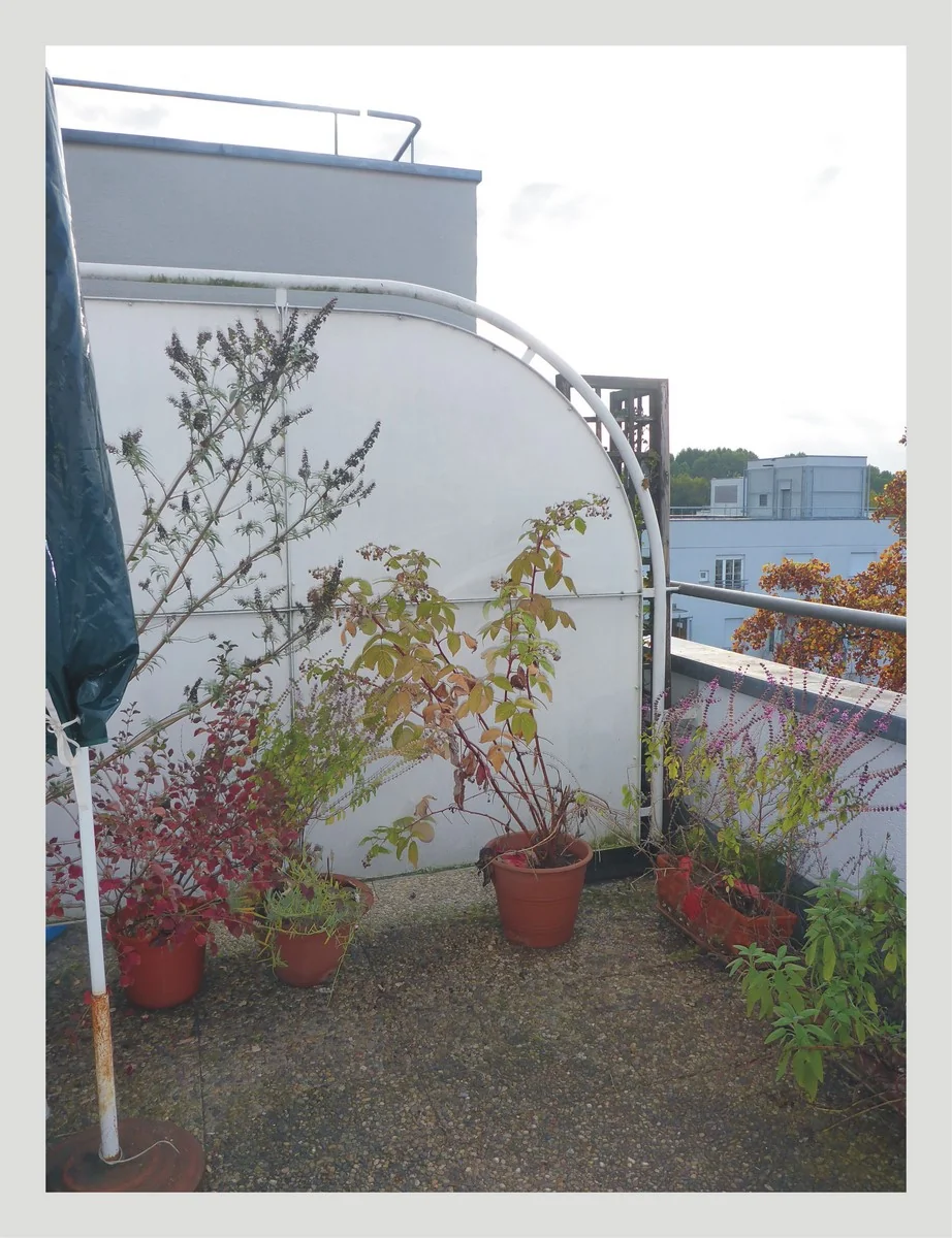 KA-Südweststadt - in zentrumsnaher Lage / 1-Zi-Wohnung mit Terrasse, EBK und großzügigem TG-Stellplatz / derzeit vermietet