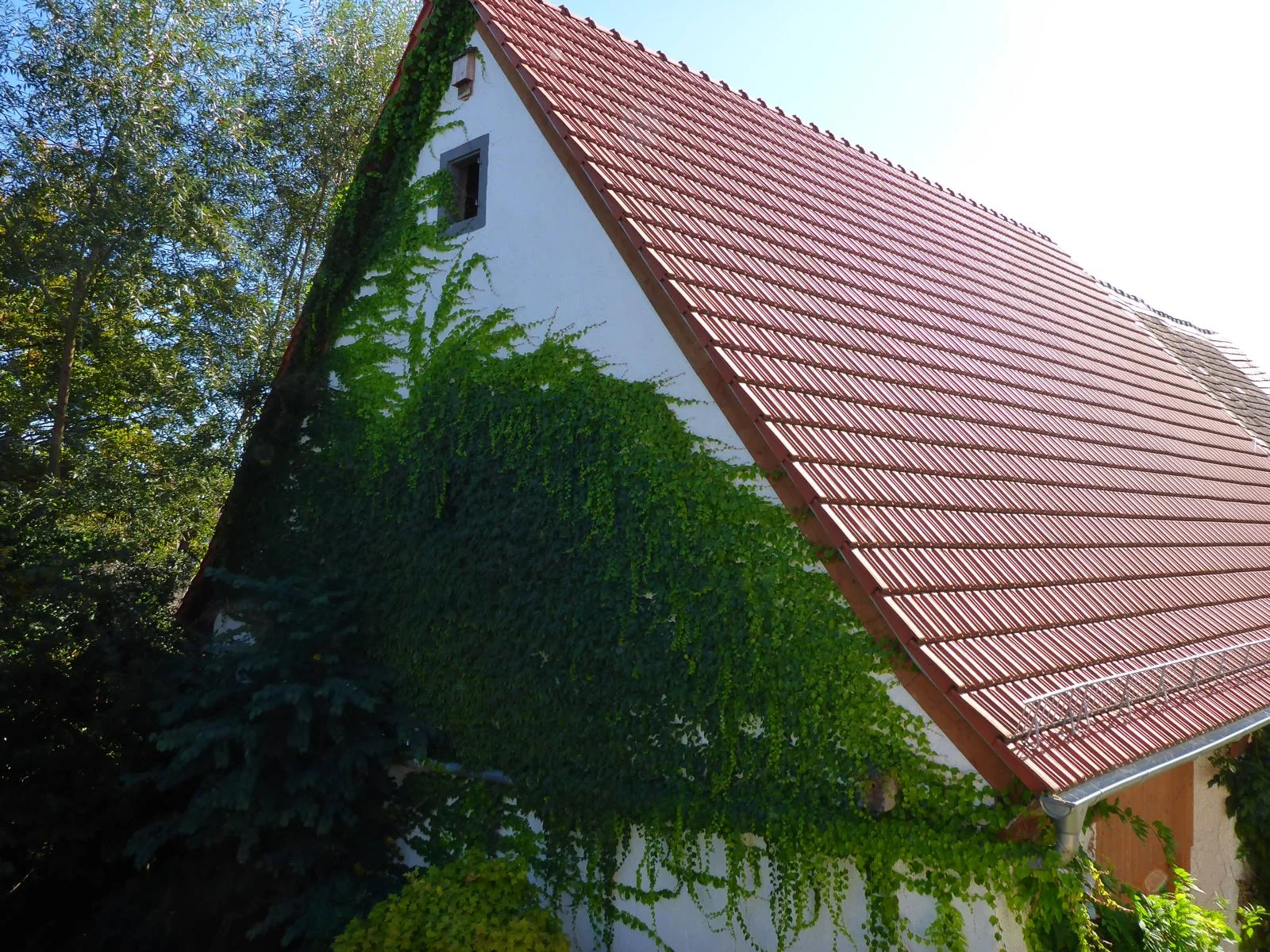 Graben-Neudorf / einzigartiges Gebäude-Ensemble aus Wohnhaus, Scheune und Rohbaugebäude auf tollem Grundstück direkt an der Heglach