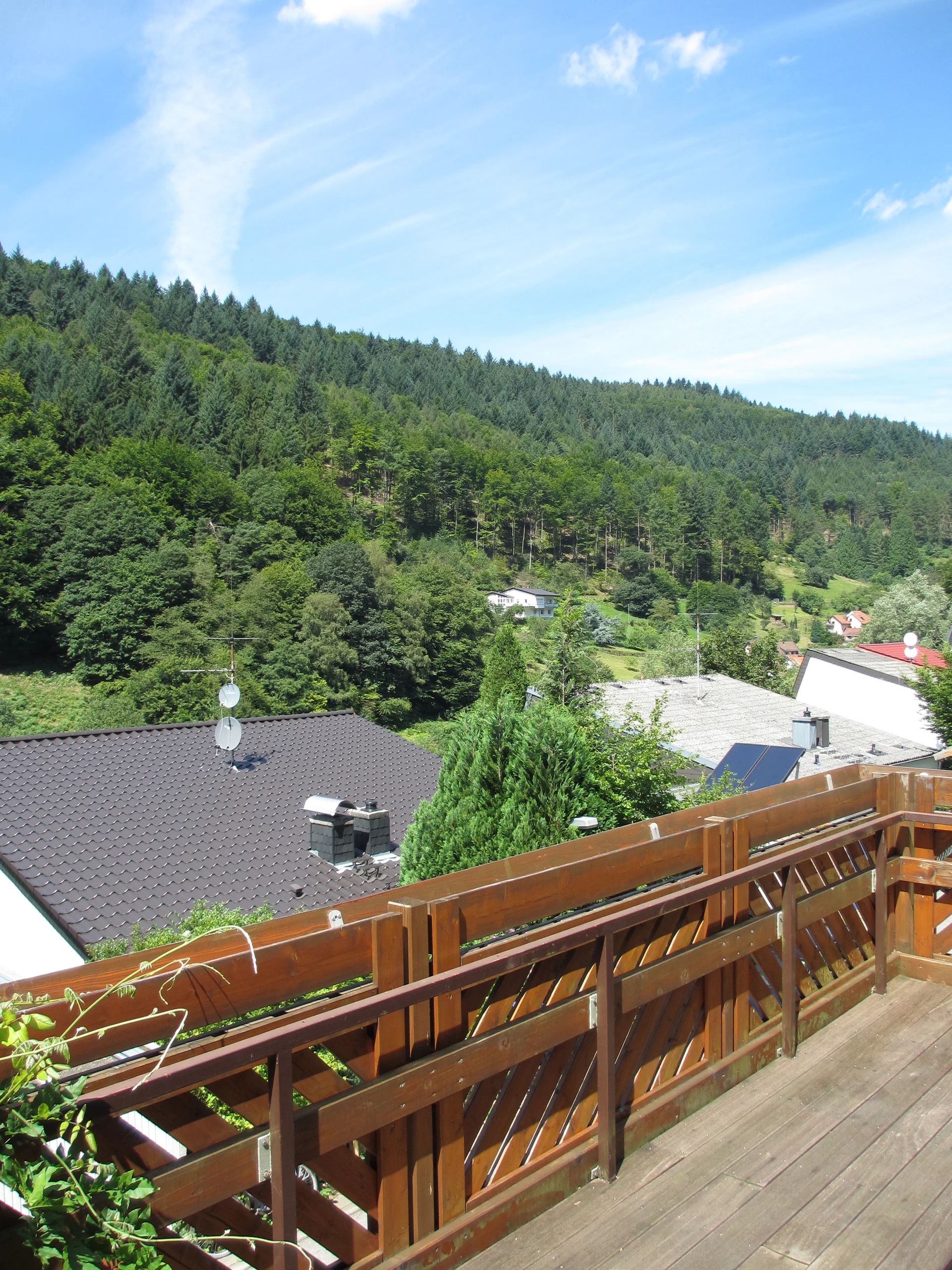 Heidelberg-Ziegelhausen / außergewöhnliche Doppelhaushälfte in ruhiger und naturnaher Hanglage mit wundervollem Ausblick