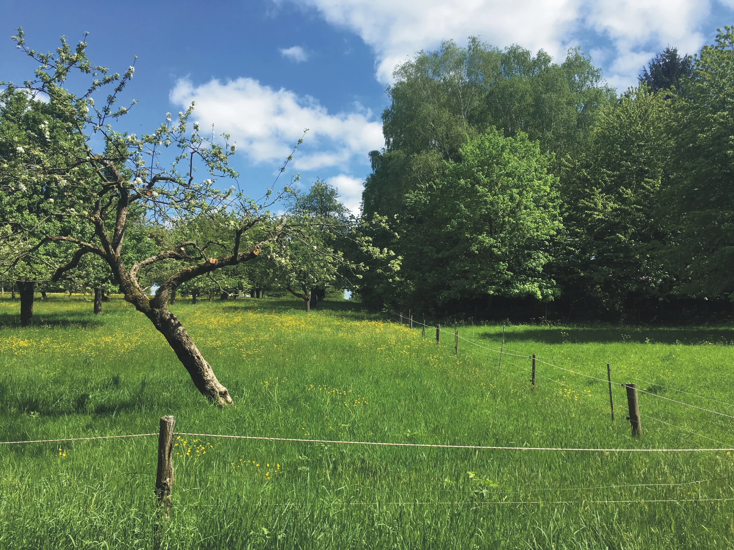 KA-Durlach / idyllisch gelegene Landwirtschaftsfläche mit guten Anbindungen / Im Bergfeld