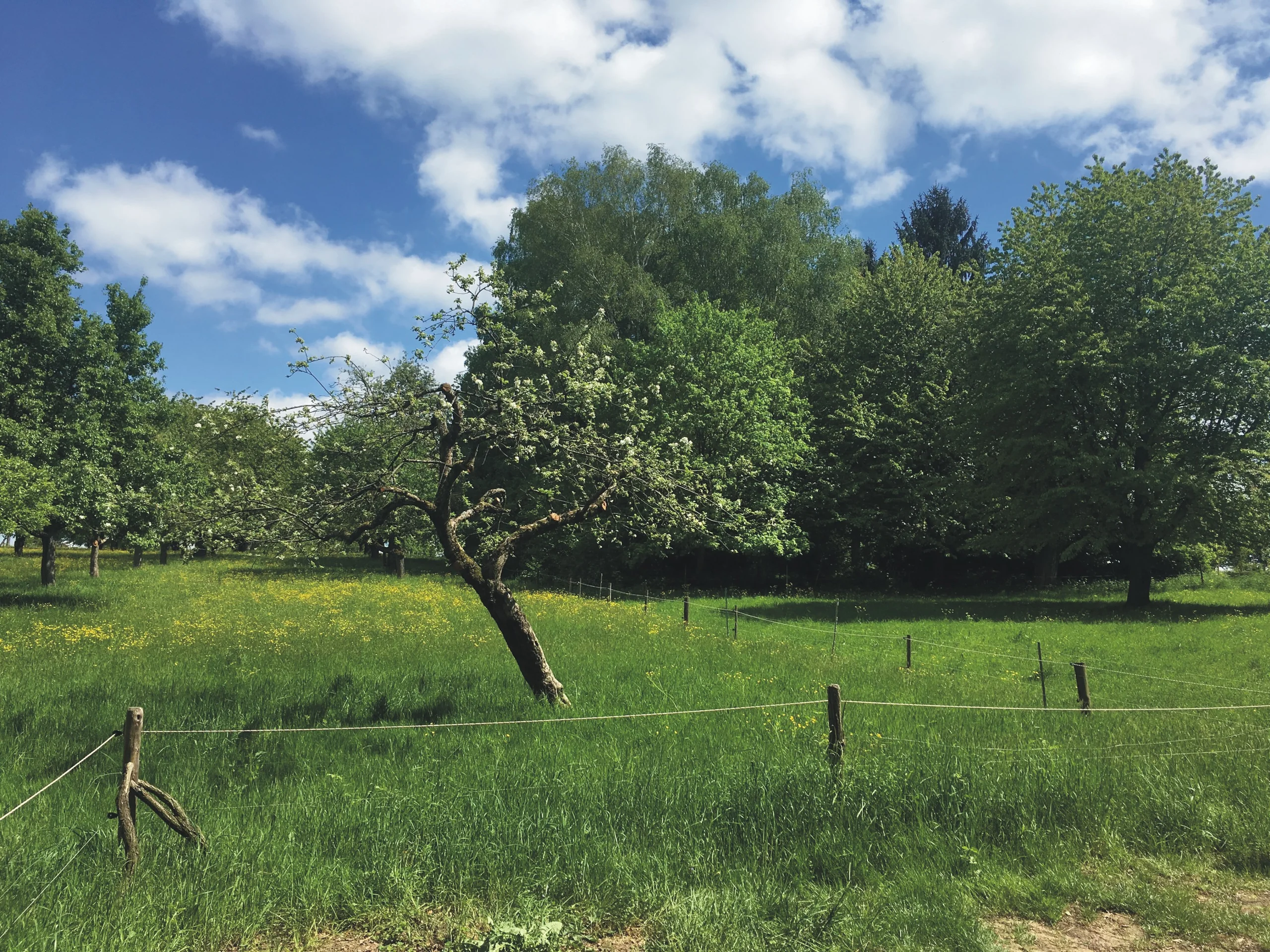 KA-Durlach / idyllisch gelegene Landwirtschaftsfläche mit guten Anbindungen / Im Bergfeld