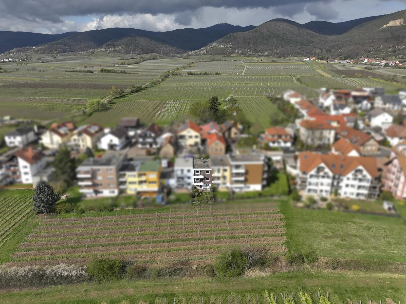 Neustadt/Wstr. - Diedesfeld / familienfreundliches Reihenmittelhaus in naturnaher Wohnlage / bezugsfrei